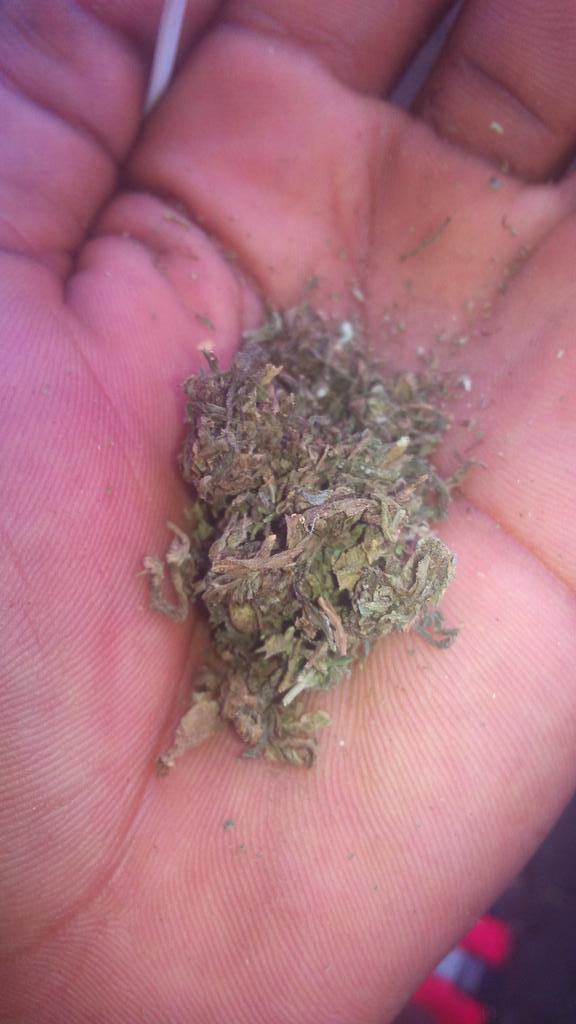 Freeman806's tweet image. Strong kush