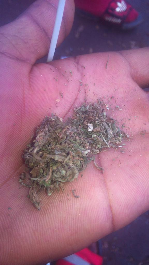 Freeman806's tweet image. Strong kush