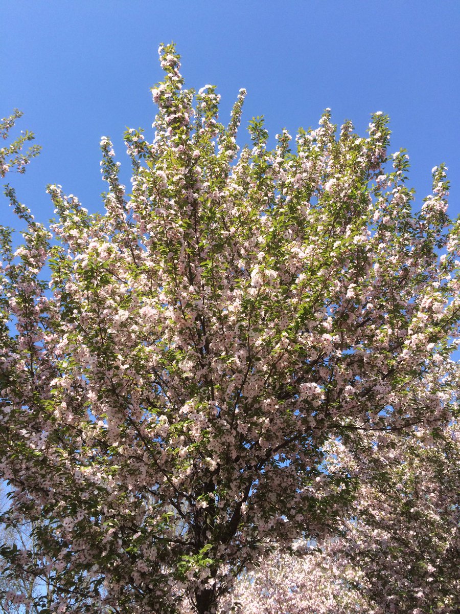 Het is lente <a href="/Movamento/">Movamento</a> en wij zijn lekker aan het werk! #mooi #lekkerbezig