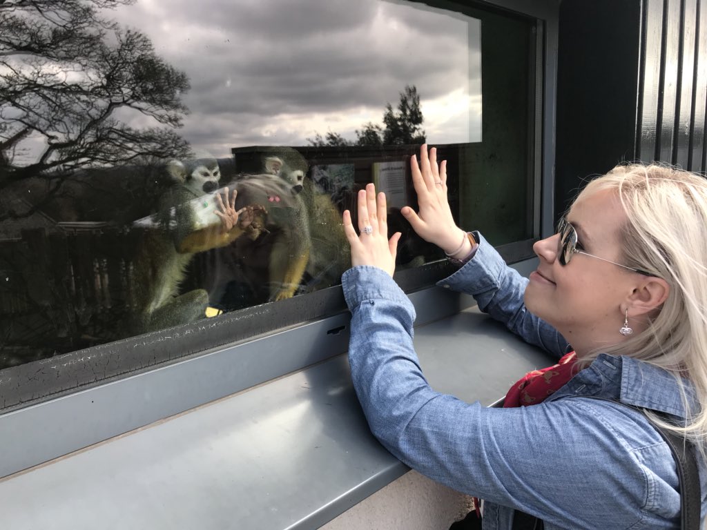 je55ica__rabbit's tweet photo. Monkeying around yesterday π #monkeys #monkeyhands #communicating https://t.co/EpTZuobGB4