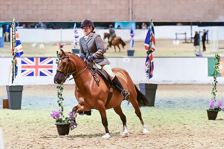 ABWEofficial's tweet photo. 13.2hh Welsh Section C goes to the World Working Equitation Championships to compete with the best in the World; how amazing is that? #welshc #welshsectionc #welshpony #thewelshpony @WelshPonyCobSoc
You can support Corstan Rogue Trader here - https://t.co/9tSltT2mNw https://t.co/RZEZLmBqm5