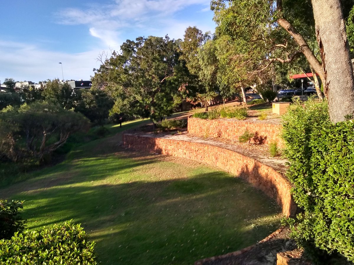 Mick_Davis_'s tweet image. Looking forward to learning how to encourage native plants and animals in my backyard at @CityofKalamunda's Biodiversity Workshop, with The Forever Project's Chris Ferreira and Mike and Mandy Bamford!
🌳 🐍  🌸  🌳  🐢  🏵️ 🌳
#foreverproject #OzPlants #soil #fungi #Fauna #bird