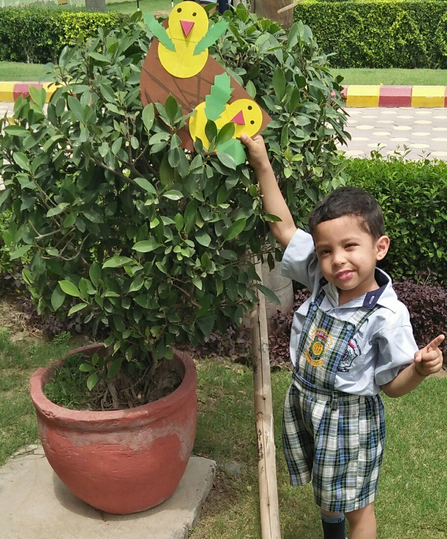SujataPurkayas3's tweet photo. The Sun is so bright, we can't look at it with bare eyes, the birds live in their nests, the trees can be tall and short.... The child can learn these with experience... @rgsnoida #TeachSDGs #naturelearning #experientiallearning @supritichauhan https://t.co/FA9ljCyusX