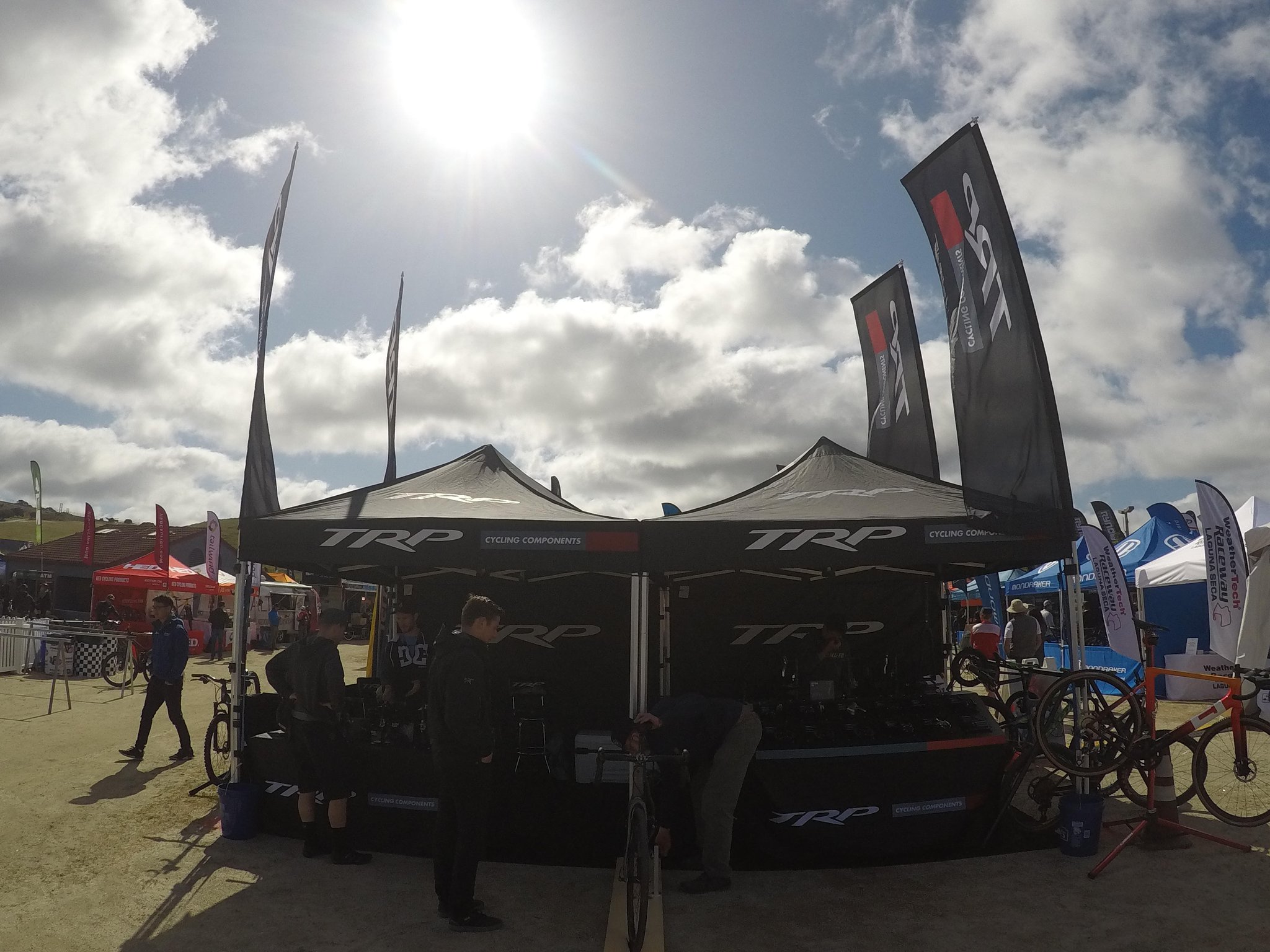 trp cycling components