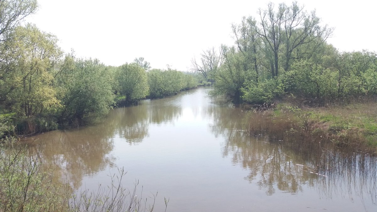 boswachterpiet's tweet image. Met vrijwilligers #staatsbosbeheer kennisuitwisseling in de #biesbosch. Inspiratie op doen voor #educatieprogramma.
