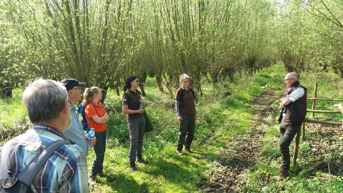 boswachterpiet's tweet image. Met vrijwilligers #staatsbosbeheer kennisuitwisseling in de #biesbosch. Inspiratie op doen voor #educatieprogramma.