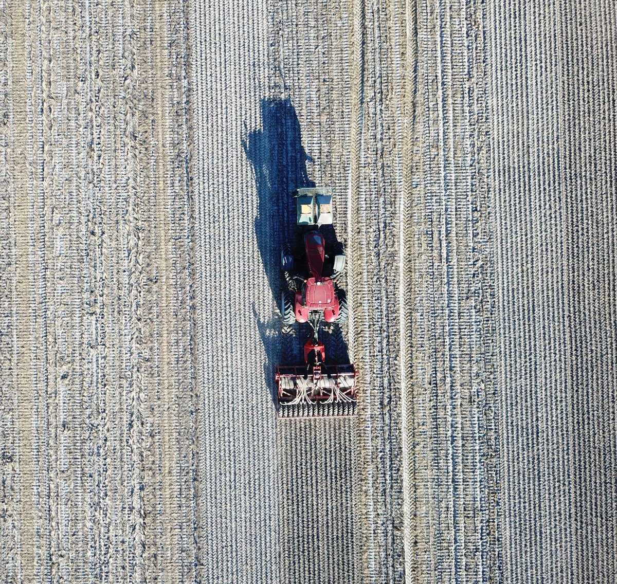 QuentenKnight's tweet photo. Long run lines for this spader, seeding canola on deep ripped non wetting sand #seeding18 #warakirricropping https://t.co/Ijp2T4GLyb