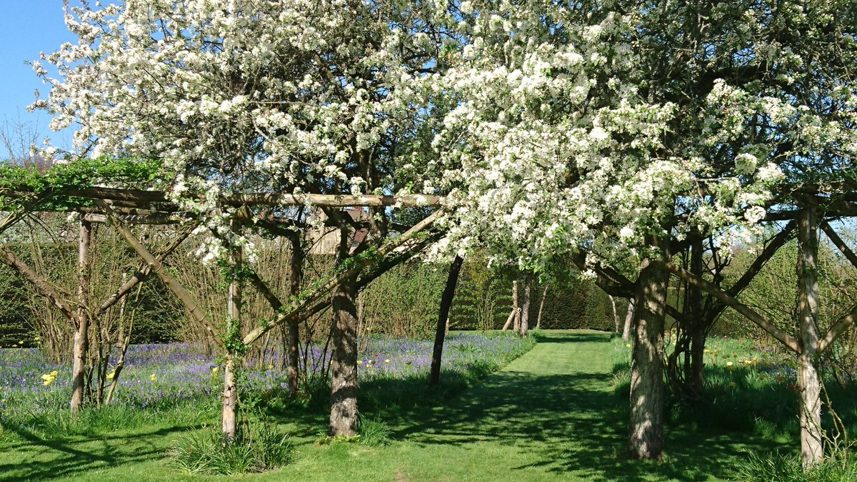 PenshurstPlace's tweet photo. What a pretty sight the long grasses, wild flowers, bluebells and crab apple blossoms in the Nut Garden are! A perfect place to stop for a rest in the 11 acres of formal gardens. #VisitKent #ExploreKent #RHS https://t.co/GpL36HusYC