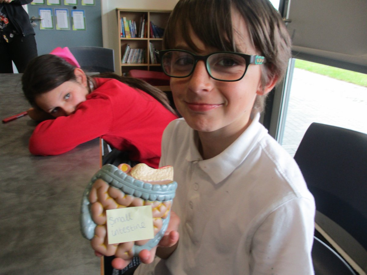 Bridgeview School tweet media