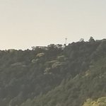ツイートに含まれる画像