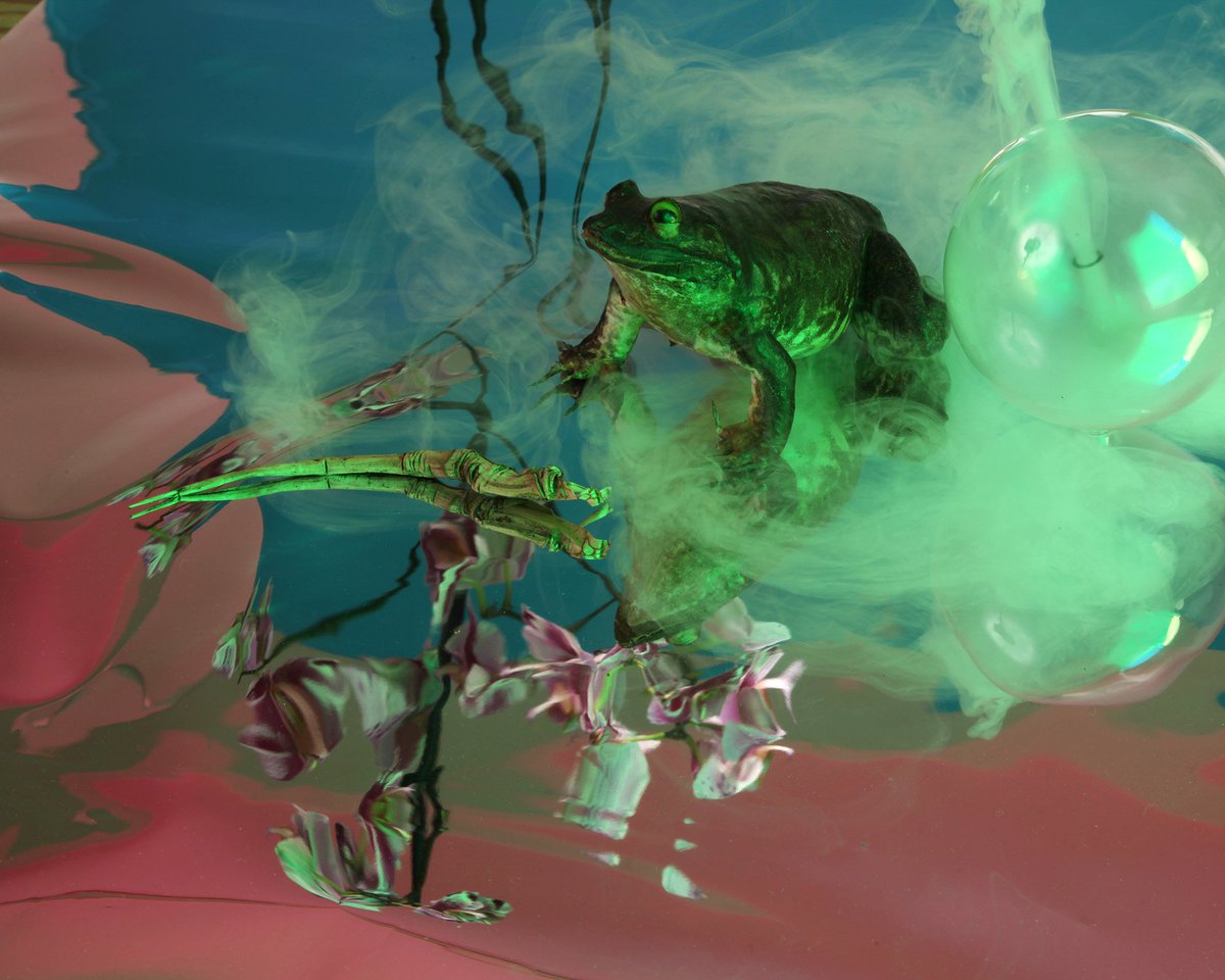 Notre nouveau site Internet est enfin en ligne, ainsi que nos oeuvres pour la levée de fonds 2018! Visitez:  lesterritoires.org/boutique2018/