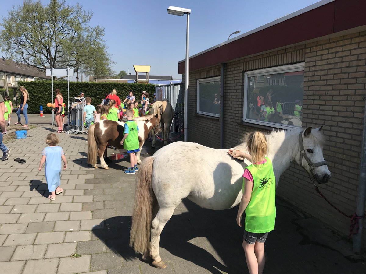 pieterpaans's tweet photo. Wat een feest, #Koningsspelen Klaaswaal. Aks slot koele brandslang douche 😄 Dank aan vele vrijwilligers, @sssklaaswaal &amp; @vrwelzijn #feest https://t.co/DhnPLxQ7jn