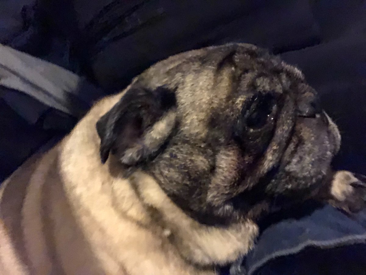 Good morning everyone 
I missed you all!