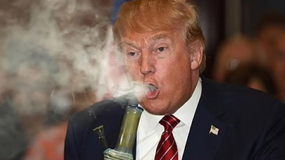 Purple Merlin tweet media