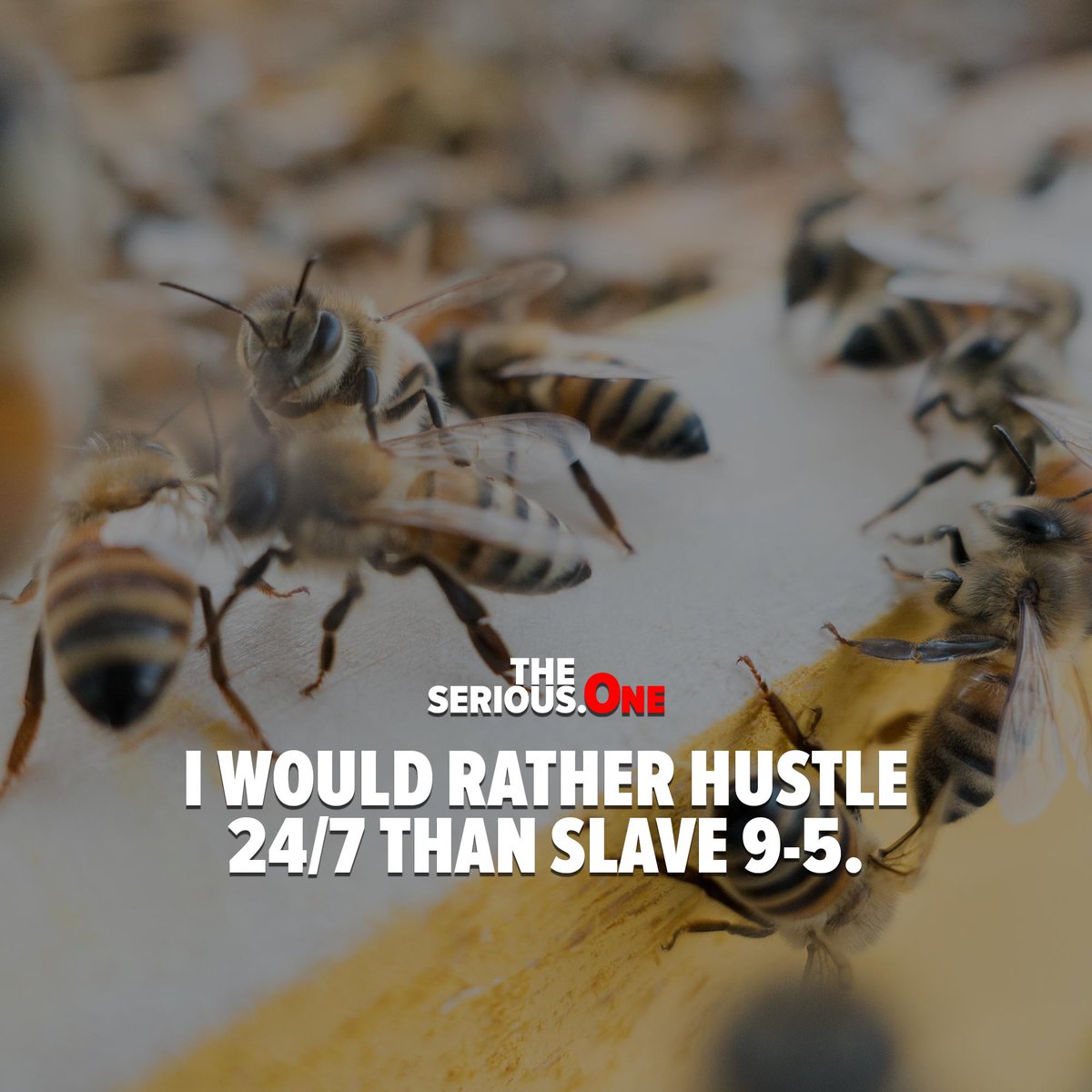 I would rather hustle 24/7 than slave 9-5.

theserious.one/i-would-rather…

#hustle #workhard #motivation