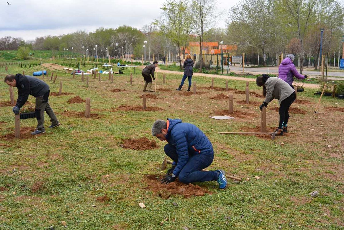 AytoAlcalaH's tweet photo. 📰 El bosque comestible de Alcalá de Henares cuenta con nuevas plantaciones y hoteles para insectos 🌱🍃

Alumnas y alumnos curso Monitores de Tiempo Libre @AHJuventud participaron en el proyecto "Hotel para insectos", en colaboración @AHMedioAmbiente 

🔗 https://t.co/PgOy7MhOVN https://t.co/HH8WCQZkVC