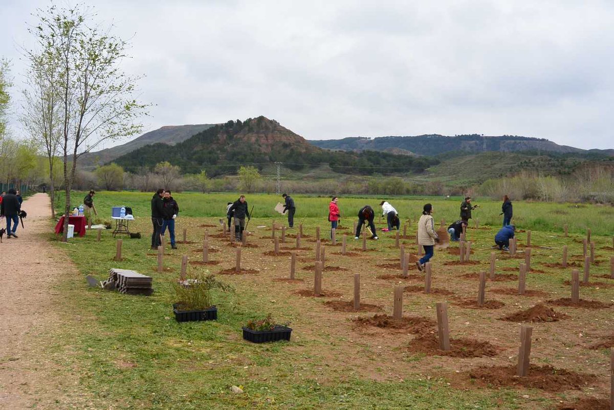 📰 El bosque comestible de Alcalá de Henares cuenta con nuevas plantaciones y hoteles para insectos 🌱🍃

Alumnas y alumnos curso Monitores de Tiempo Libre <a href="/AHJuventud/">Juventud e Infancia</a> participaron en el proyecto "Hotel para insectos", en colaboración <a href="/AHMedioAmbiente/">C. Medio Ambiente</a> 

🔗 ayto-alcaladehenares.es/portalAlcala/c…