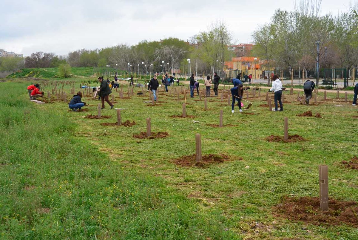 AytoAlcalaH's tweet photo. 📰 El bosque comestible de Alcalá de Henares cuenta con nuevas plantaciones y hoteles para insectos 🌱🍃

Alumnas y alumnos curso Monitores de Tiempo Libre @AHJuventud participaron en el proyecto "Hotel para insectos", en colaboración @AHMedioAmbiente 

🔗 https://t.co/PgOy7MhOVN https://t.co/HH8WCQZkVC