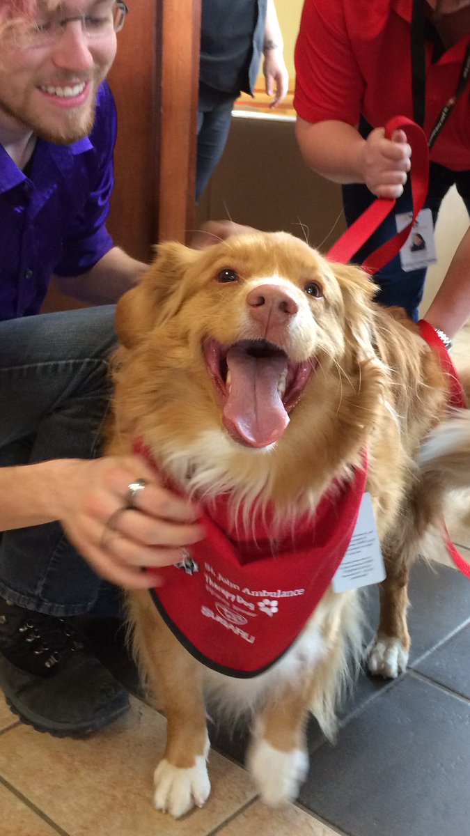 jessloveslocal's tweet photo. Each week we ask students how we can make their experience better at #AcadiaU. My fav comment this week is “more dogs” 🐶👌🏻These are my kind of peeps #moredogs #stjohnambulance #therapydog @SJA_NS @AcadiaFood https://t.co/jPGhD8JS07