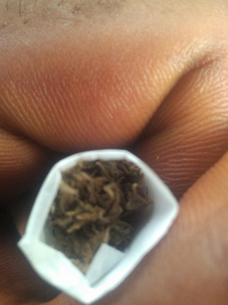 Freeman806's tweet image. Sativa