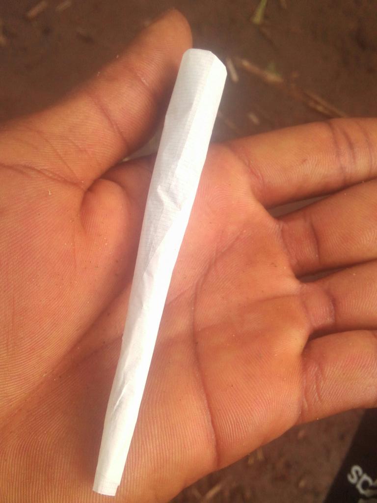 Freeman806's tweet image. Sativa