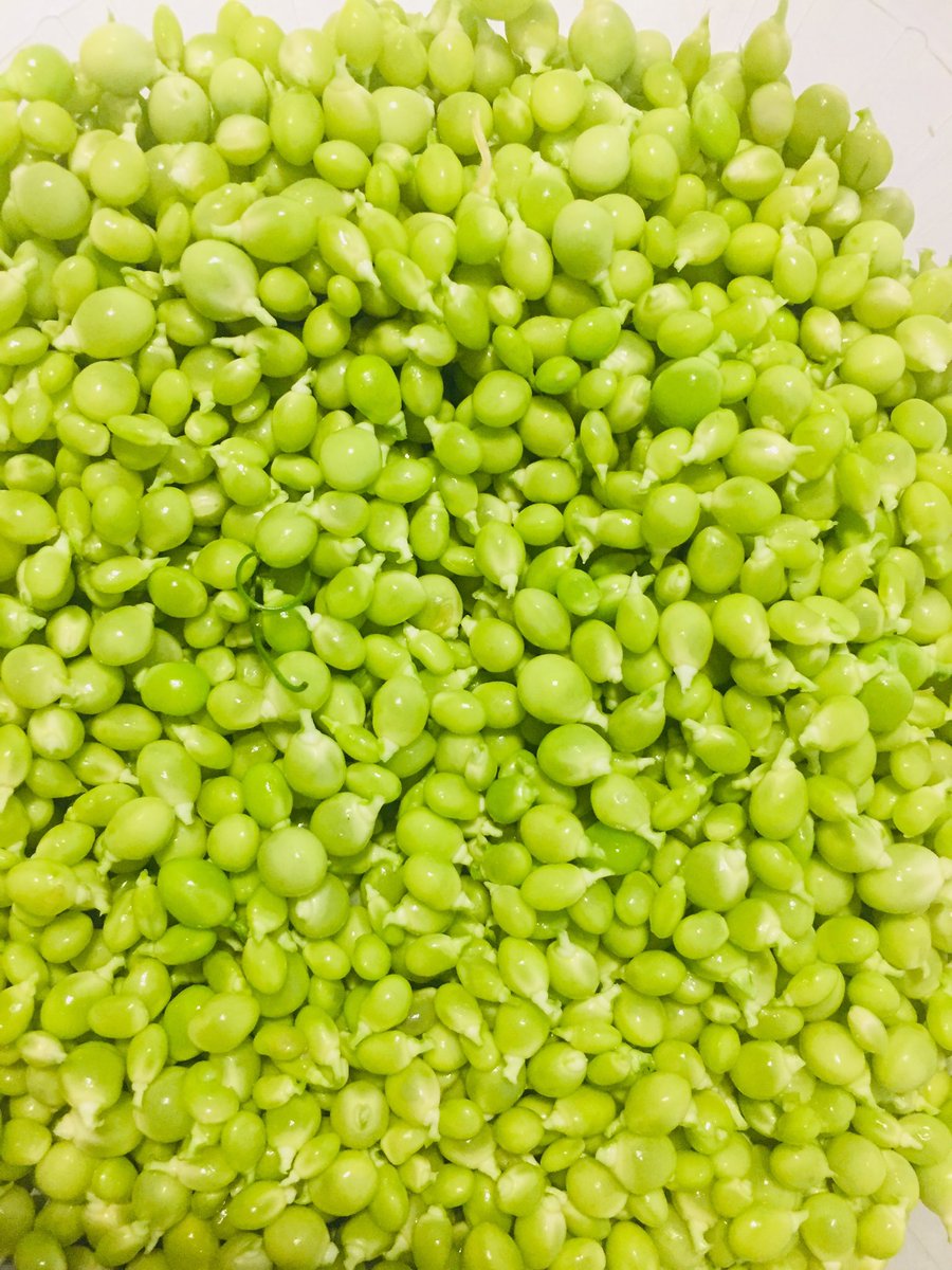 David Marcano tweet media