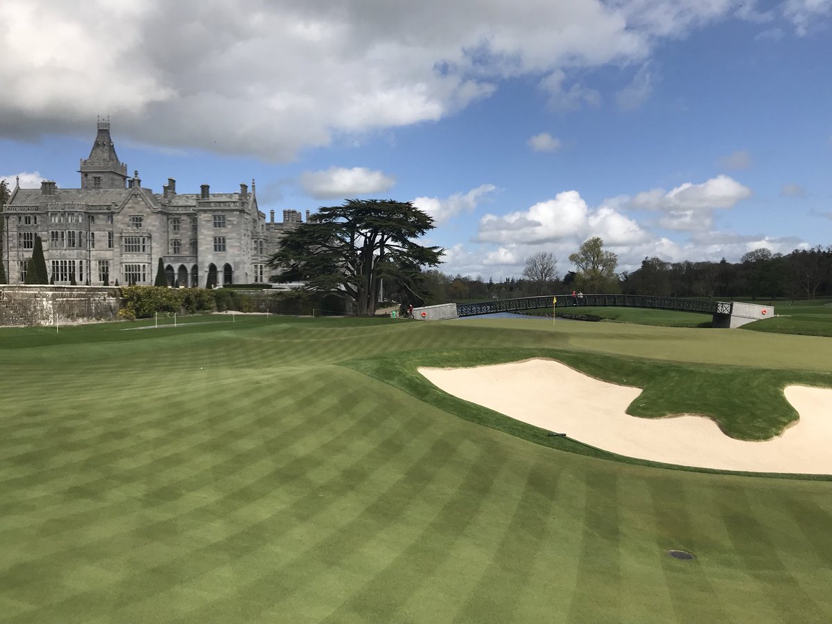 Turfgrass® tweet media