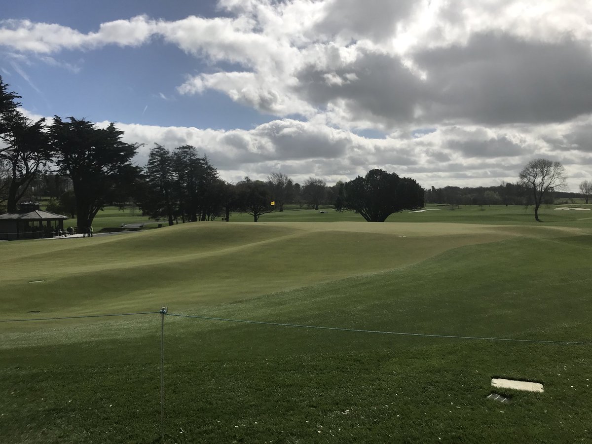Turfgrass® tweet media