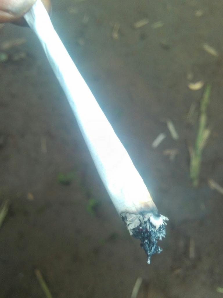 Freeman806's tweet image. Smoking