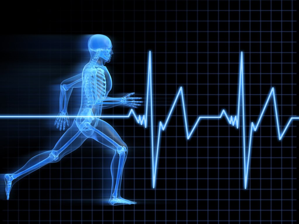 PRIMAL2717's tweet photo. Fitness vs. Health:  Are They Different? https://t.co/vkxM584yVW https://t.co/8wU0zrC6ph