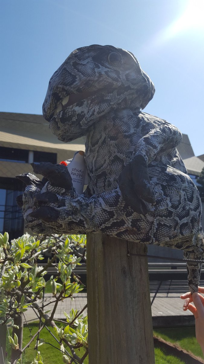 reffieraptor's tweet image. Outside next to perch amongst the blossom, catch some rays and ponder the very meaning of our existence #LibraryMascots #MascotLife