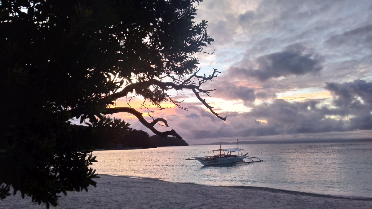 Heidmstar's tweet photo. Sharpen thy great fangs
Muster a roar from thy lungs
Stance, direct, then lunge
#Harfafanget
#SorsogonEscapade
#Matnog
#Subic https://t.co/OwjaZ0vroH