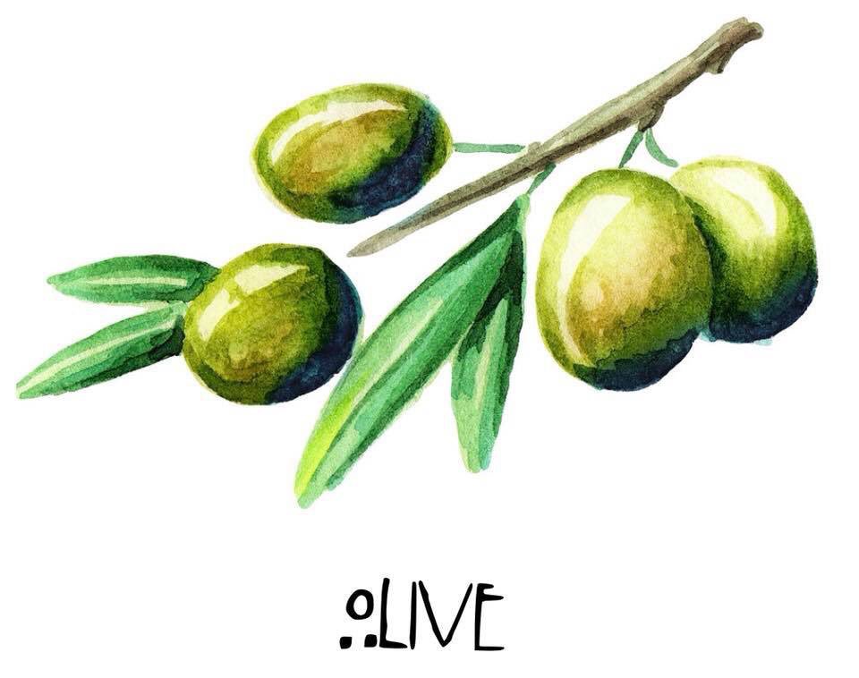 ROAR_Wellbeing's tweet photo. #Olive is amazing for dry, damaged and mature skin. It is very nourishing and softens the skin.
 
It is a well-known anti-inflammatory and is very valuable when used on skin irritations, damaged skin and itchiness: https://t.co/mH0POgxgPS #organicskincare https://t.co/mvZnnWzwmd