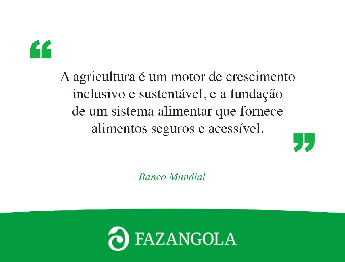 Na Fazangola nosso objectivo é  ser, a longo prazo, referência no sector da #agricultura isto significa a implementação de melhores #práticas sustentáveis #ambientais e sociais.