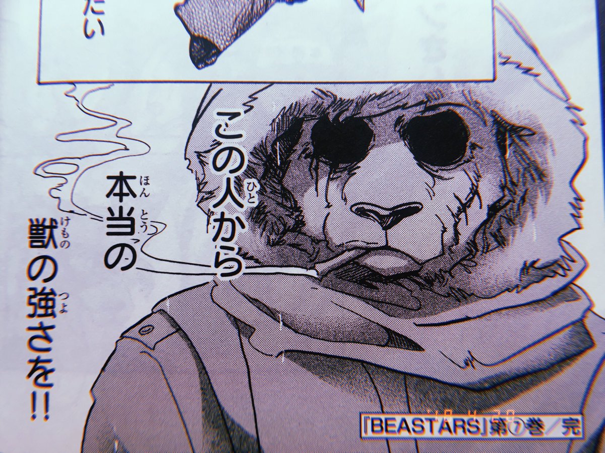 パンダはモッズコートが似合う動物 