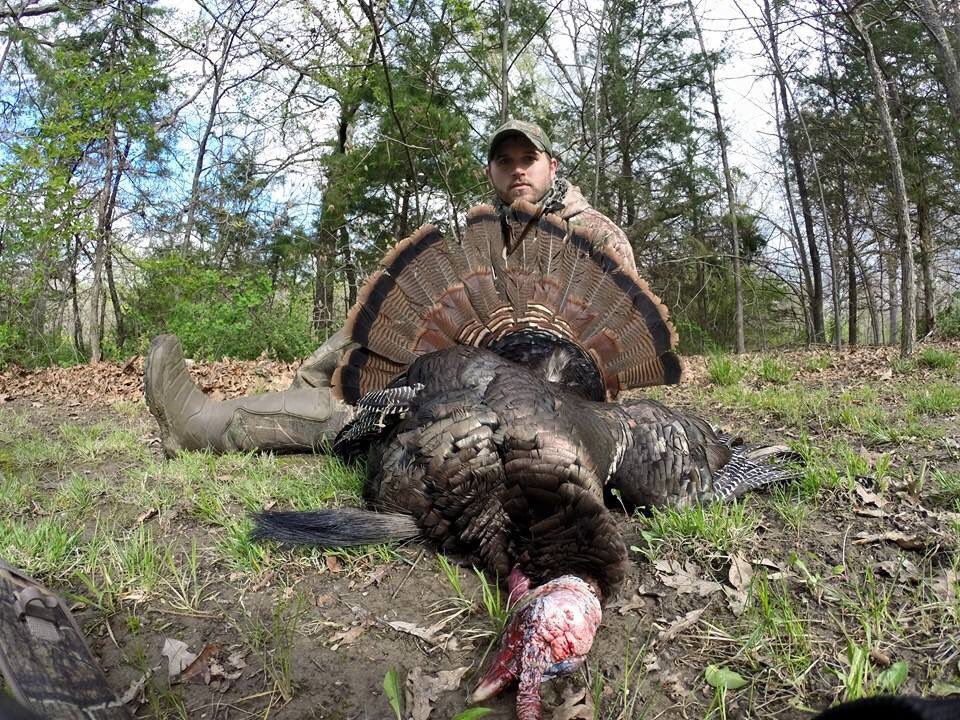 kcamp3's tweet image. I’m not much on turkey stats unless it’s abnormally big. 3 years ago was my biggest. 1 7/8” spurs 26 lbs 12.5” beard. Had i known they “scored” turkeys I’d have entered it. What was yours.