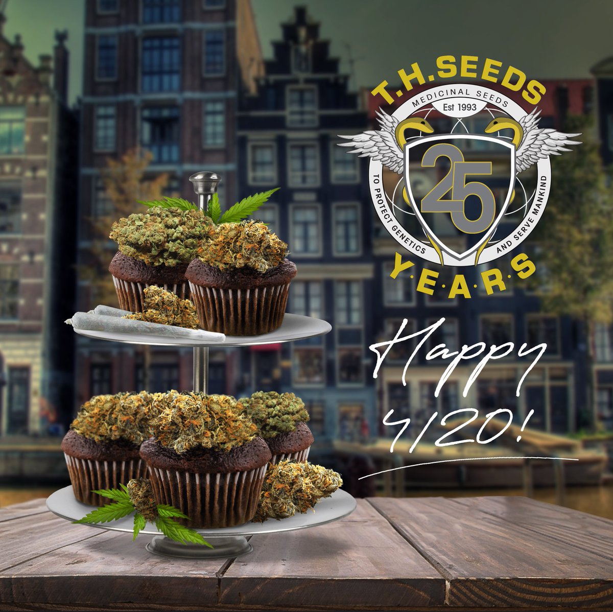 T.H.Seeds® Amsterdam tweet media