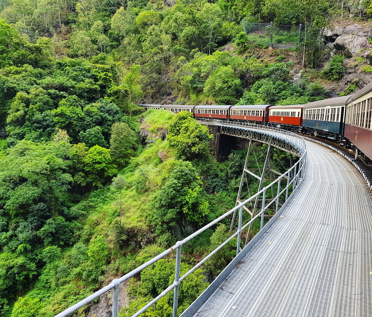 Ventrasee's tweet photo. 😍 Travelling #Cairns #kuranda #queensland #Australia #travel #photography #ventrasee #travelblog 🏡🛫🌄 https://t.co/PBavsG9O54
