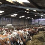 Photo by Hafod Cheese (@HafodCheese)