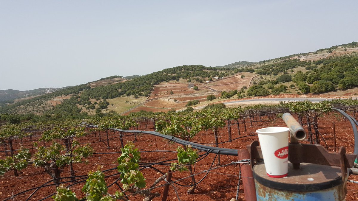mustafa_bourini's tweet photo. Ψ³ΩΩ Ψ§ΩΨΉΨ² ΩΨ§ΩΩΩ Ψ§ΩΨΉΨ² Ψ¨ΩΩΨ¨ΩΩΩ
Borini's #_FARM β€ https://t.co/LPeOckTcJy