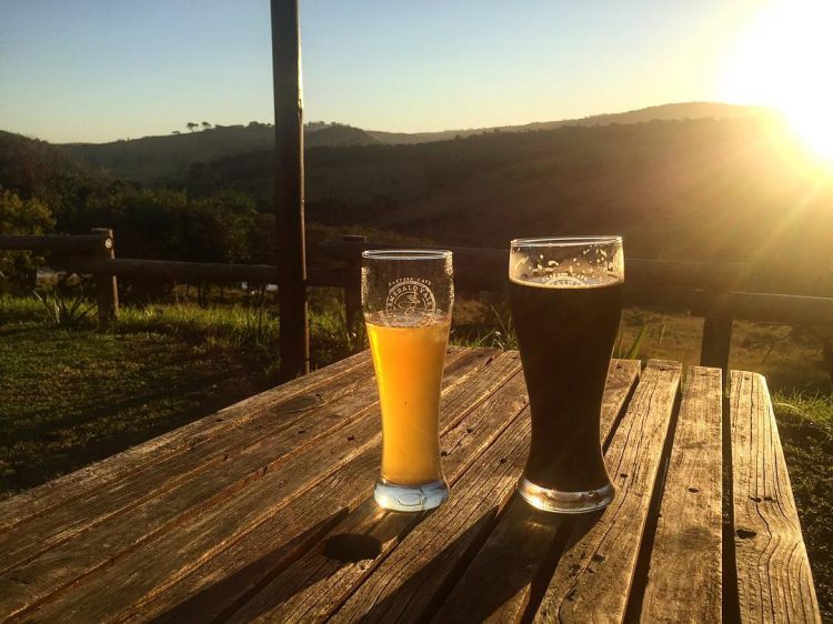 SA Beer Tours tweet media