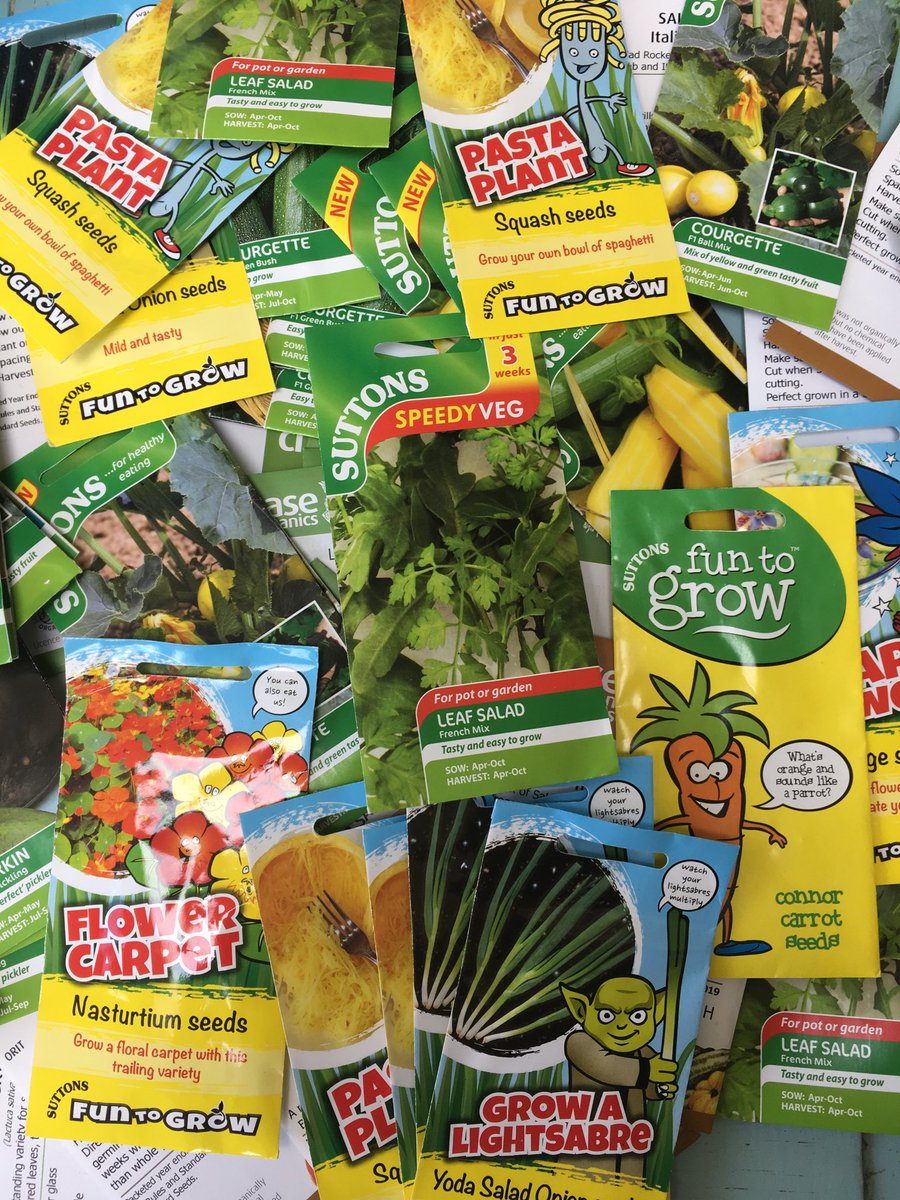 Naomi Schillinger tweet media