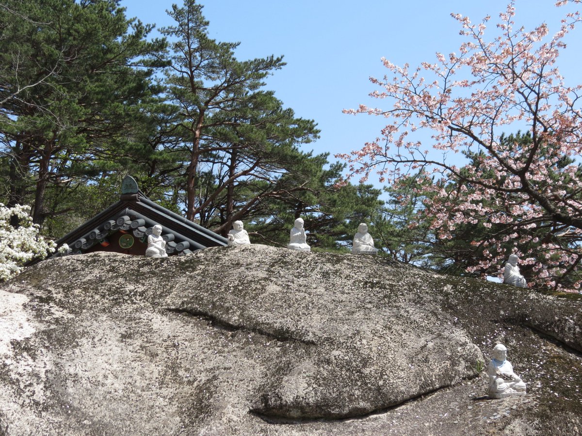 A strenuous hike, but the view is worth it! 

#southkorea #seoraksan #ulsanbawi #hiking #hikingadventures