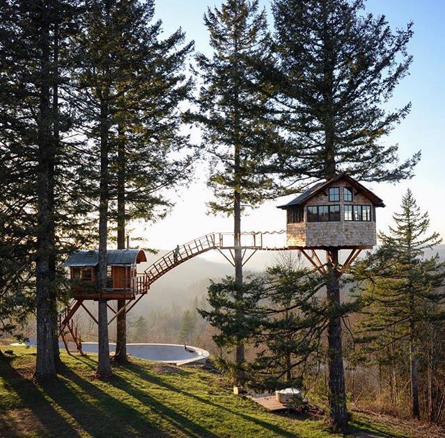 Container Care tweet media