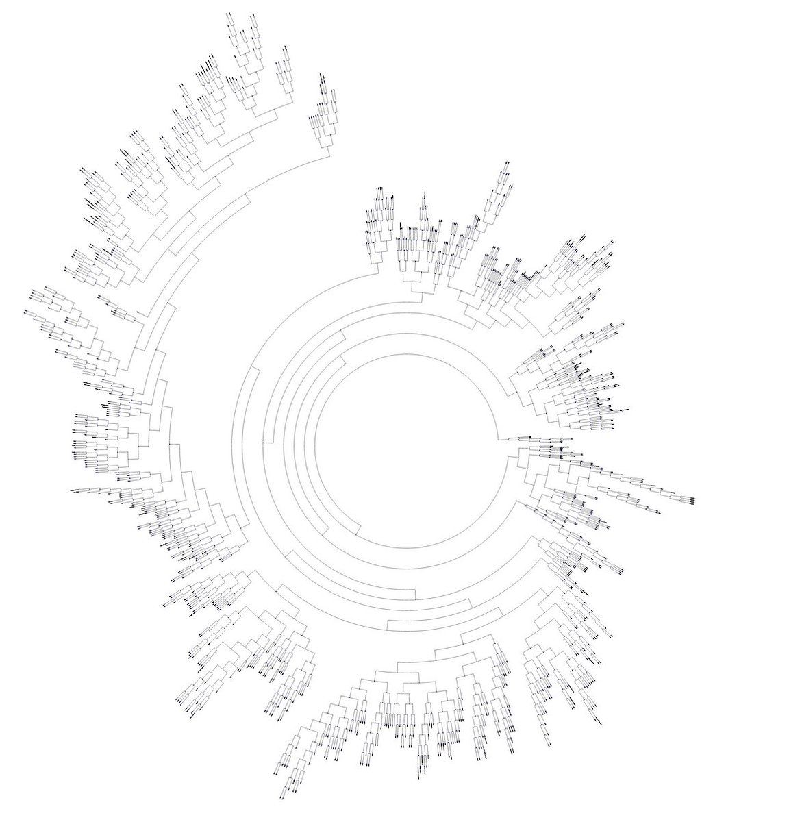 Deep learning, min hashing, assemblies oh my! If you're interested in such topics, join us <a href="/hexagonbio/">hexagonbio</a> and start adding leaf nodes to this fungal tree!