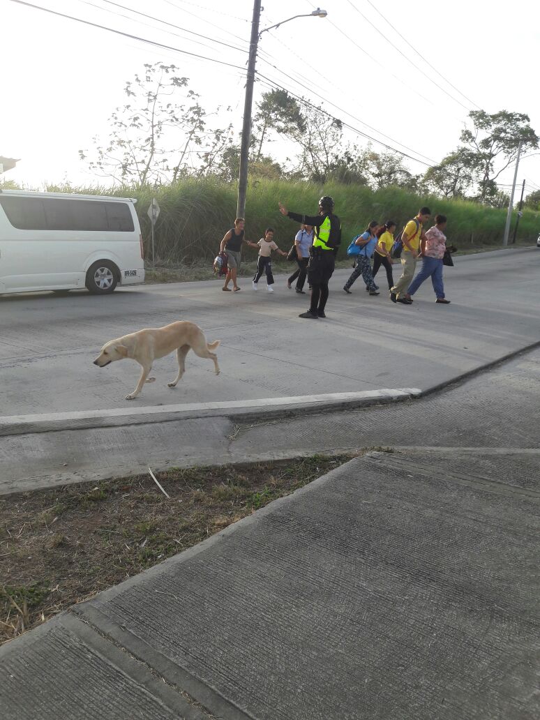 policiadepanama's tweet photo. #AEstaHora efectivos de @ProtegeryServir  en la #ZP20  se mantienen garantizando la seguridad de los estudiantes en distintos puntos de Chilibre. #AyúdanosAProtegerte #LlamaAl104 https://t.co/cmzaDFu8P5