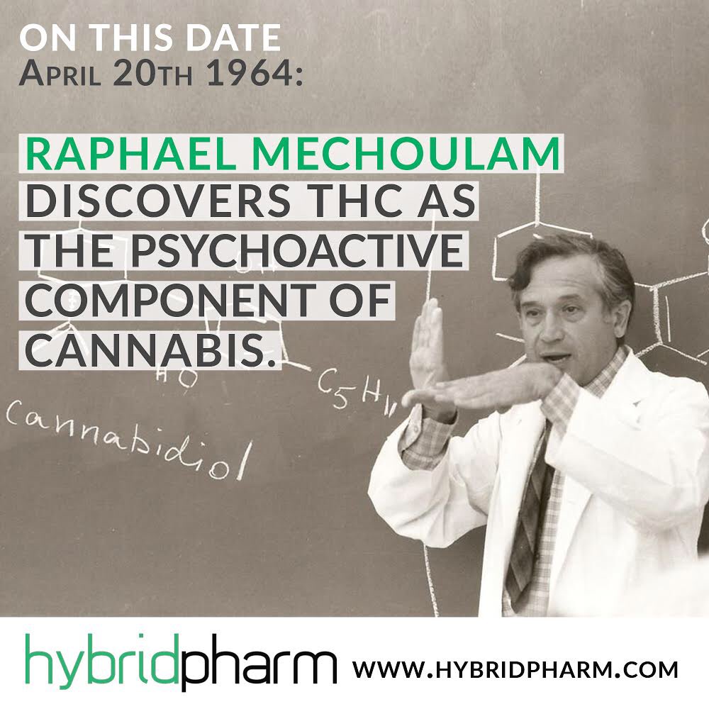 hybrid_pharm's tweet photo. Celebrating accomplishments in pharmaceutical science! 🔬⚗️
#HybridPharm #HybridIsHealthy #FarmToPharm #Pharmasary #420 https://t.co/fLfn8mNlyr