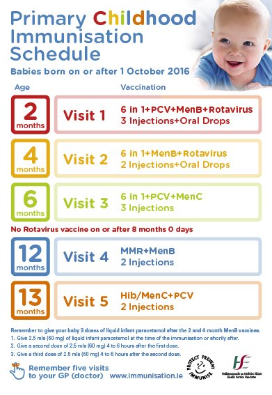 voertuig Vrijwillig Spanje HSE National Immunisation Office (NIO) on Twitter: "#Hib vaccine is offered  to babies as part of the 6 in 1 vaccine at 2, 4 and 6 months. A booster dose  of #Hib