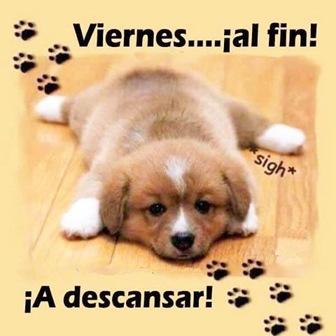 DMixto's tweet photo. !Hoy es viernes y el cuerpo lo sabe! Sabe que la jornada laboral estuvo fuerte y es tiempo para relajarse y descansar un poco. 

Feliz fin de semana amig@s!! 🤗 https://t.co/ss37Q4tPNX
