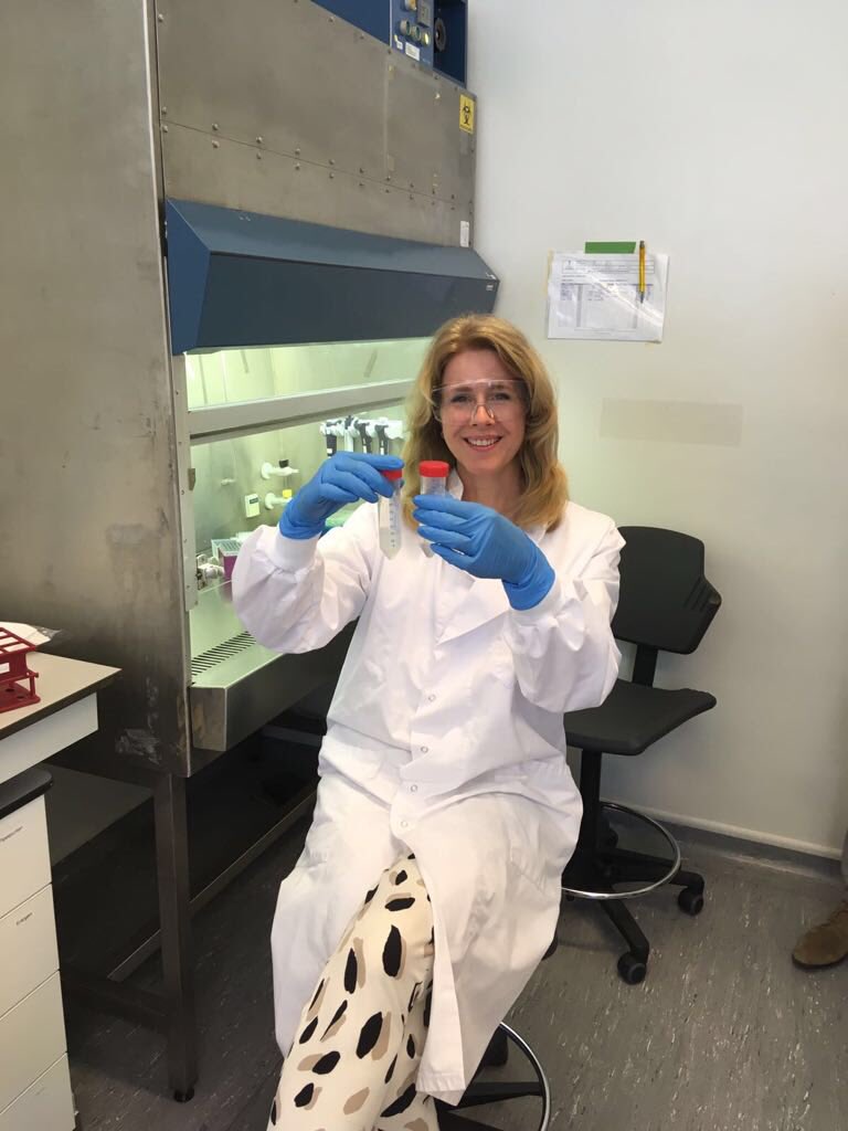 IdeasfromNL tweet media